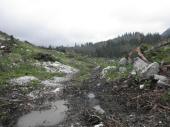 auf dem Hochplateau durch Sturm geschdigte Waldflchen 