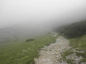  auf schönen Wegen bergab, leider noch im Nebel  