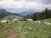  Wanderweg ber Almen 