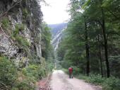  auf der Waldstrae durch das Seetal 