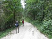  auf der Waldstrae durch das Seetal 