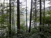  Blick auf den Lunzersee 