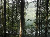  Blick auf den Lunzersee 