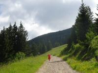  Blick auf die Wanderstrecke zum tscherschutzhaus 