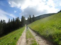 Blick auf die Wanderstrecke unterhalb des tscherschutzhaus 