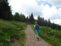  Blick auf die Wanderstrecke zum Httenkogel 