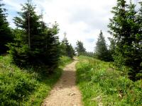  Blick auf den Wanderweg zum Httenkogel 