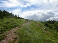  Blick auf den Wanderweg zum Httenkogel 