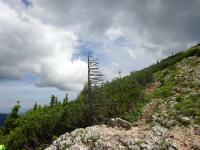 Blick zum "Wedabam" (Wetterbaum) - Skulptur vom Sepp Eybl 