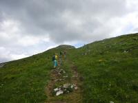  Blick auf den Wanderweg zum Gipfel 