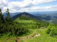 Blick auf den Wanderweg bergab zur Ötscherschutzhütte mit Blick zum "Kleinen Ötscher" 