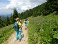 Blick auf den Wanderweg bergab zur tscherschutzhtte 