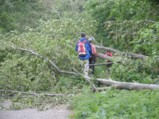  Wanderweg mit Hindernissen 