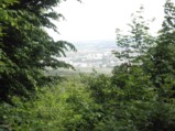  Fernblick nach Bratislava 