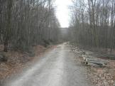  Wanderweg leicht bergab nach Breitenfurt 