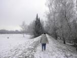  Wanderweg am Schutzdamm 