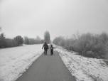  Wanderweg entlang der Traisen 