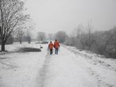  Wanderweg entlang der Traisen 