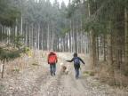  schner Wanderweg leicht bergan 