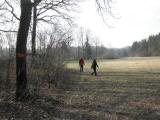  Wanderweg entlang der Ybbsau 