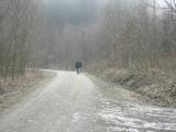  Wanderweg durch den Dunkelsteiner Wald 