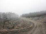 Wanderweg durch den Dunkelsteiner Wald 