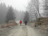  Wanderweg durch den Dunkelsteiner Wald 