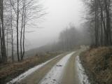  Wanderweg durch den Dunkelsteiner Wald 