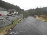  der Blick von der Kampbrcke flussabwrts  