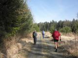  Wanderweg durch den Wald "Burgholz" 