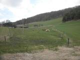 der Blick zurck - hinauf zum zuvor begangenen Wanderweg 