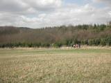  Wandergruppe bergab ins Hirschbachtal 