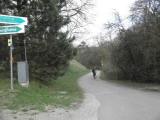  Wanderweg in der Nhe der Burgruine Gars 