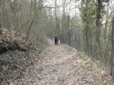  Wanderweg entlang des Tabor 