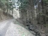  Wanderweg im Simbachgraben 