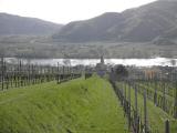  Fernblick nach Weienkirchen in der Wachau 