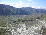 Wanderweg durch die Weinrieden des Vorderseiber mit Blick nach Joching und Wsendorf 