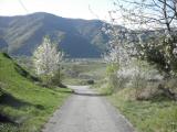  Wanderweg durch die Weinrieden des Vorderseiber 