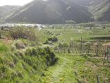  Wanderweg durch die Weinrieden des Vorderseiber 