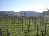  Blick nach Weienkirchen in der Wachau 