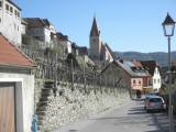  Blick zur Wehrkirche Weienkirchen in der Wachau 