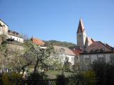  Blick zur Wehrkirche Weienkirchen in der Wachau 