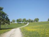  Wanderweg leicht bergan 