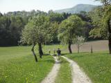  Wanderweg bergab zum Schaubach 