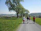  Wandergruppe auf dem Weg nach Purgstall 