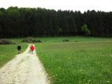  Wanderweg in der Nhe von Ober-Schildbach 