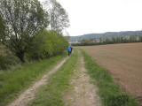  Wanderweg entlang des Schildbachs 
