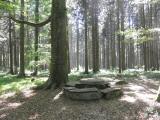  Rastplatz der "steinere Tisch" 