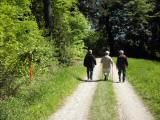  Wanderweg leicht bergab 