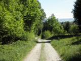  Wanderweg leicht bergab 